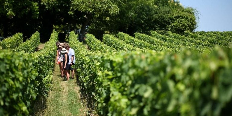 From Bordeaux – Saint-Emilion Wine Tasting Experience
