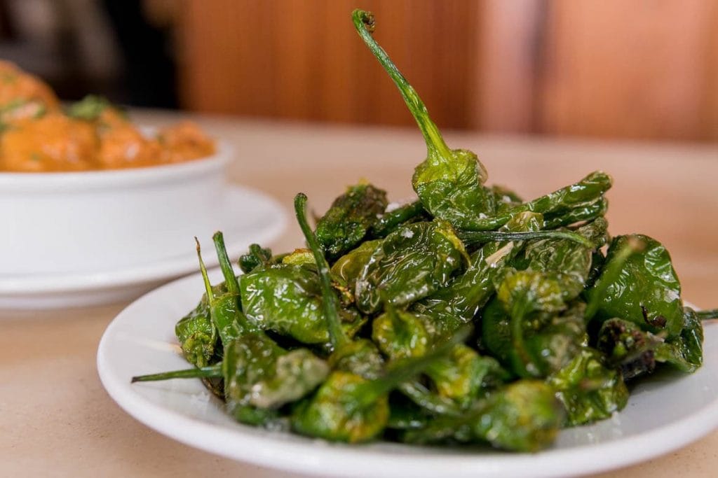 a traditional spanish tapa with padron peppers fried in olive oil and served only with salt