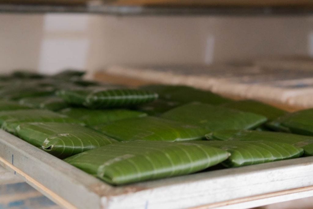 tempeh fermentation wrapped in banana leaves