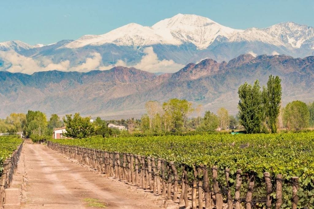 bela paisagem na vinícola de Mendoza tendo os vinhedos na frente e as montanhas nevadas ao fundo um dos melhores destinos de vinho do mundo