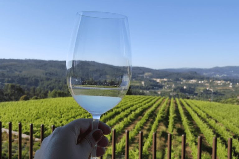 Green Wine Region Tour with Wine Tastings and Lunch