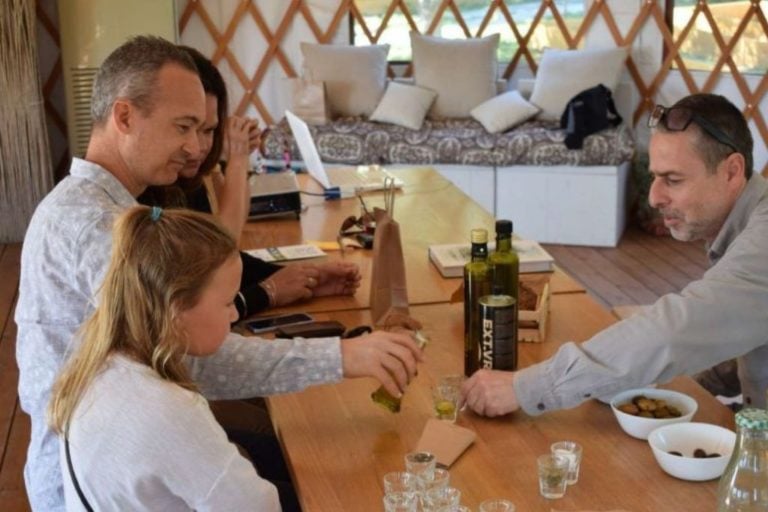 Olive Oil Tasting and Farm Tour in Athens