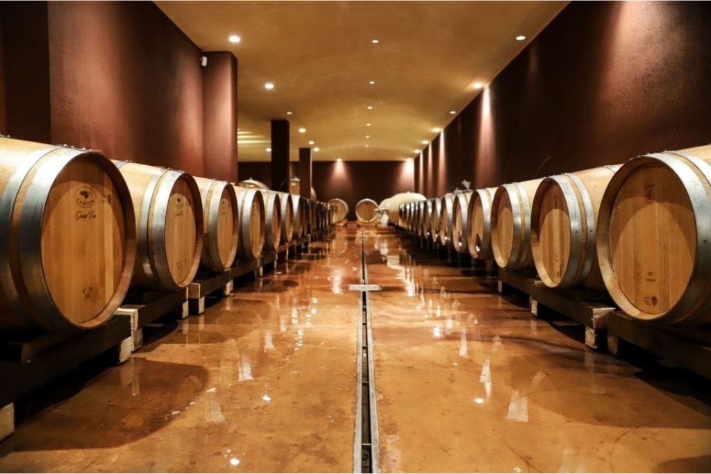 a Wine Tour in