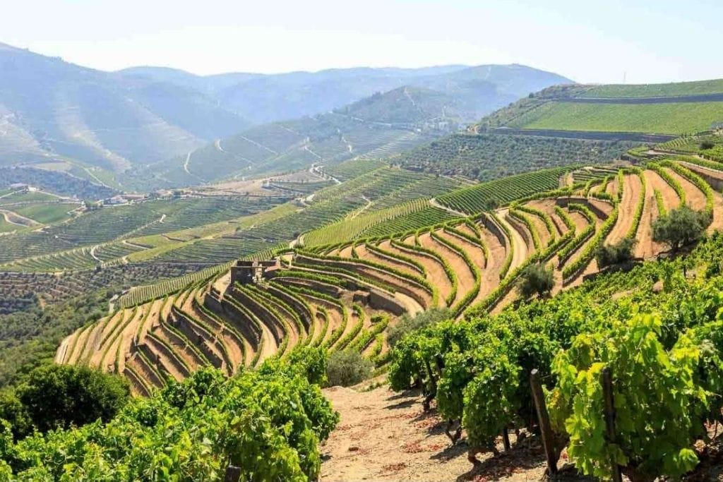 Private Wine Tour at Douro Valley from Porto