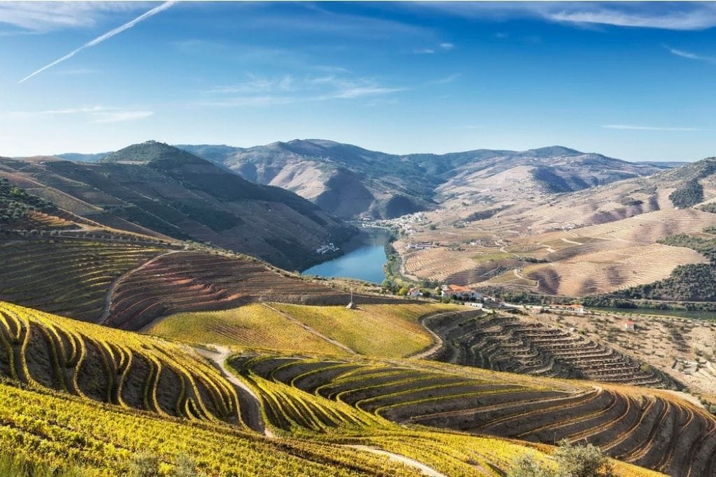 Douro Valley Tour Portugal
