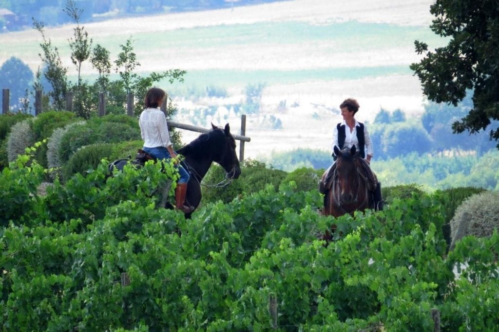horseback riding among the hotel vineyards of Castello Banfi in Tuscany, Italy