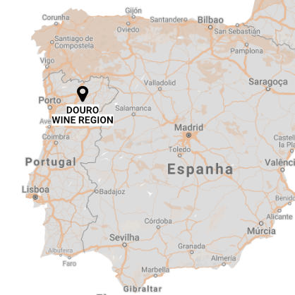 Wine Douro Region Small Map