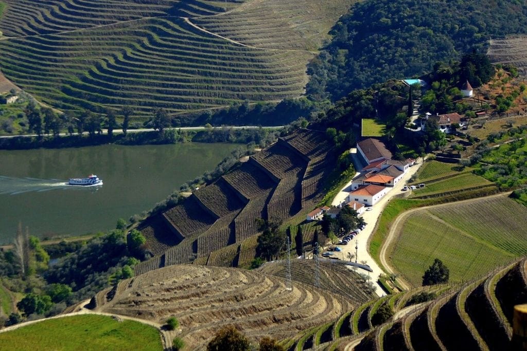 quinta do crasto winery douro portugal